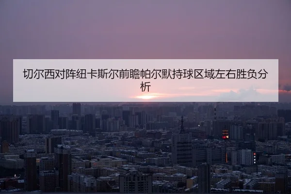 切尔西对阵纽卡斯尔前瞻帕尔默持球区域左右胜负分析