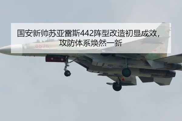 guo-an-xin-shuai-su-ya-lei-si-zhen-xing-gai-zao-chu-xian-cheng-xiao-gong-fang-ti-xi-huan-ran-yi-xin-3-490.jpg